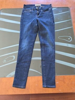 GAP Indigo Stretch Skinny Jeans